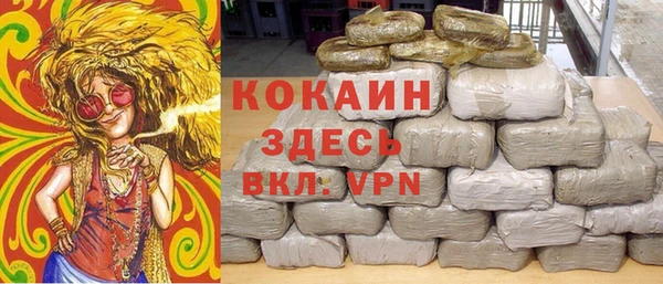 mdpv Инсар
