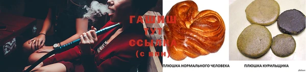 mdpv Инсар