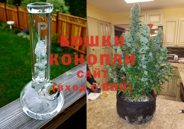 mdpv Инсар