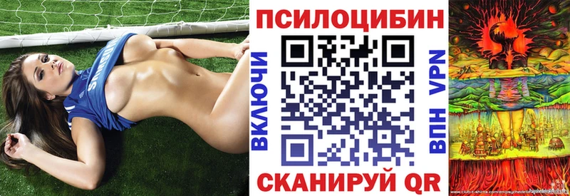 Купить закладки  Котово  Галлюциногенные грибы Cubensis 